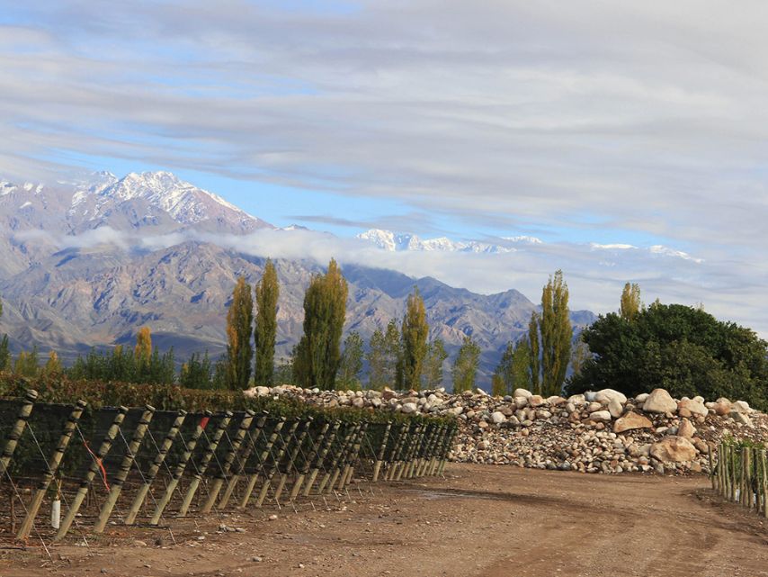 Zuccardi_Fosil_Chardonnay_2022_WBSS24_1